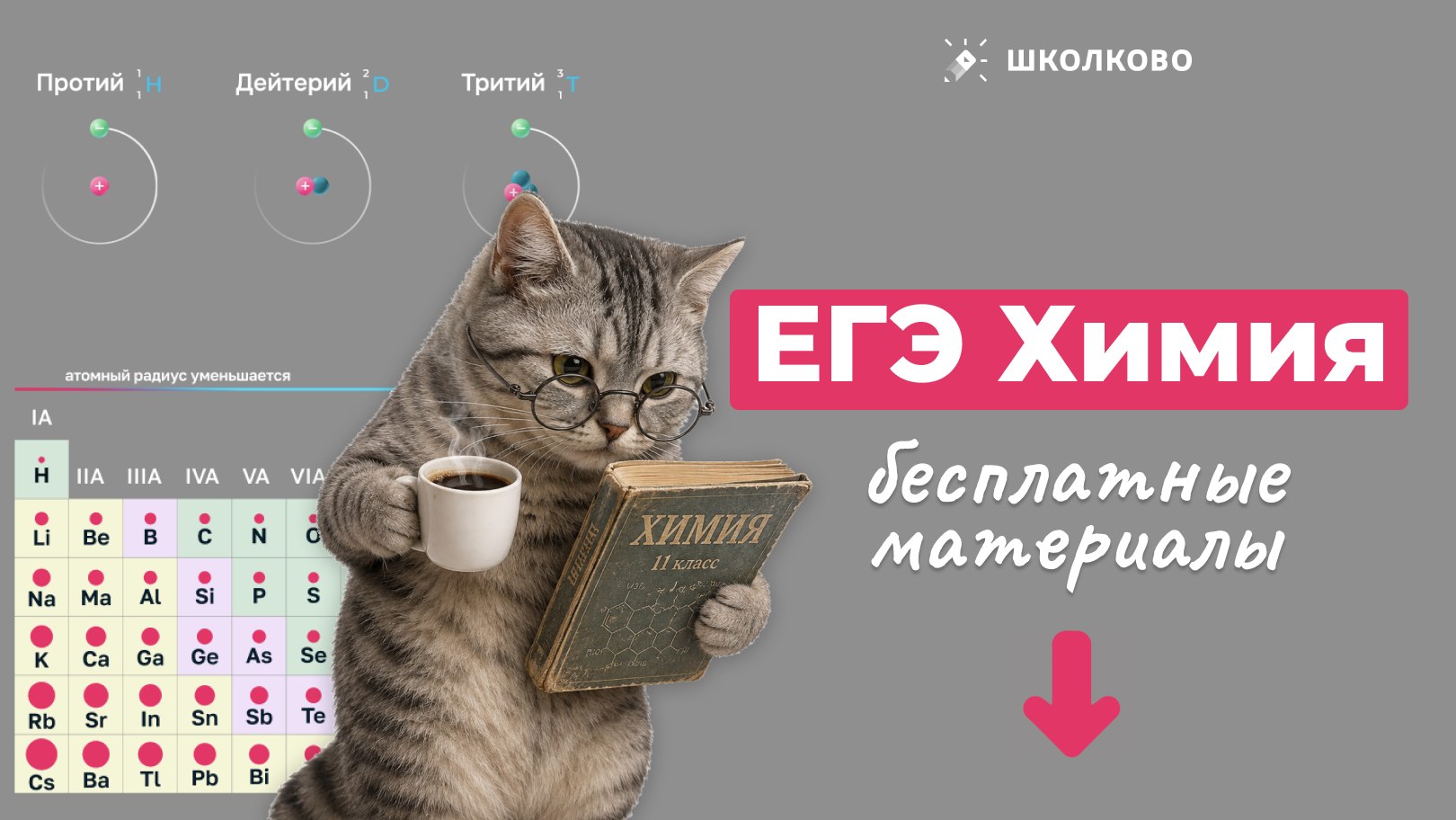 Химия и Биология Мутаген Школково
