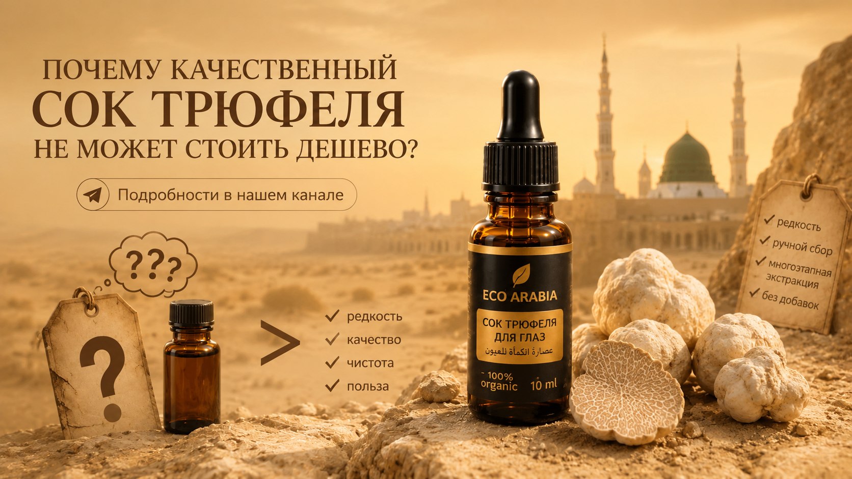 Eco Arabia in Medina