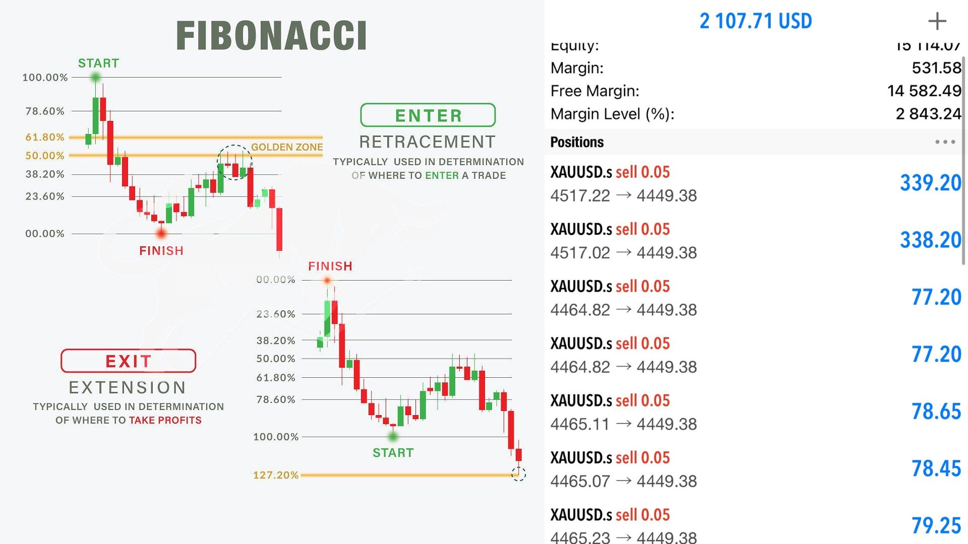 Thomas Elliott Wave 📈