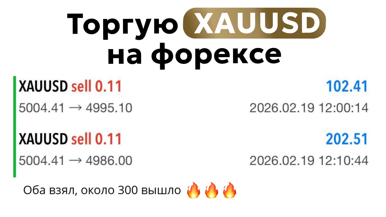 Alex Kotov / FX