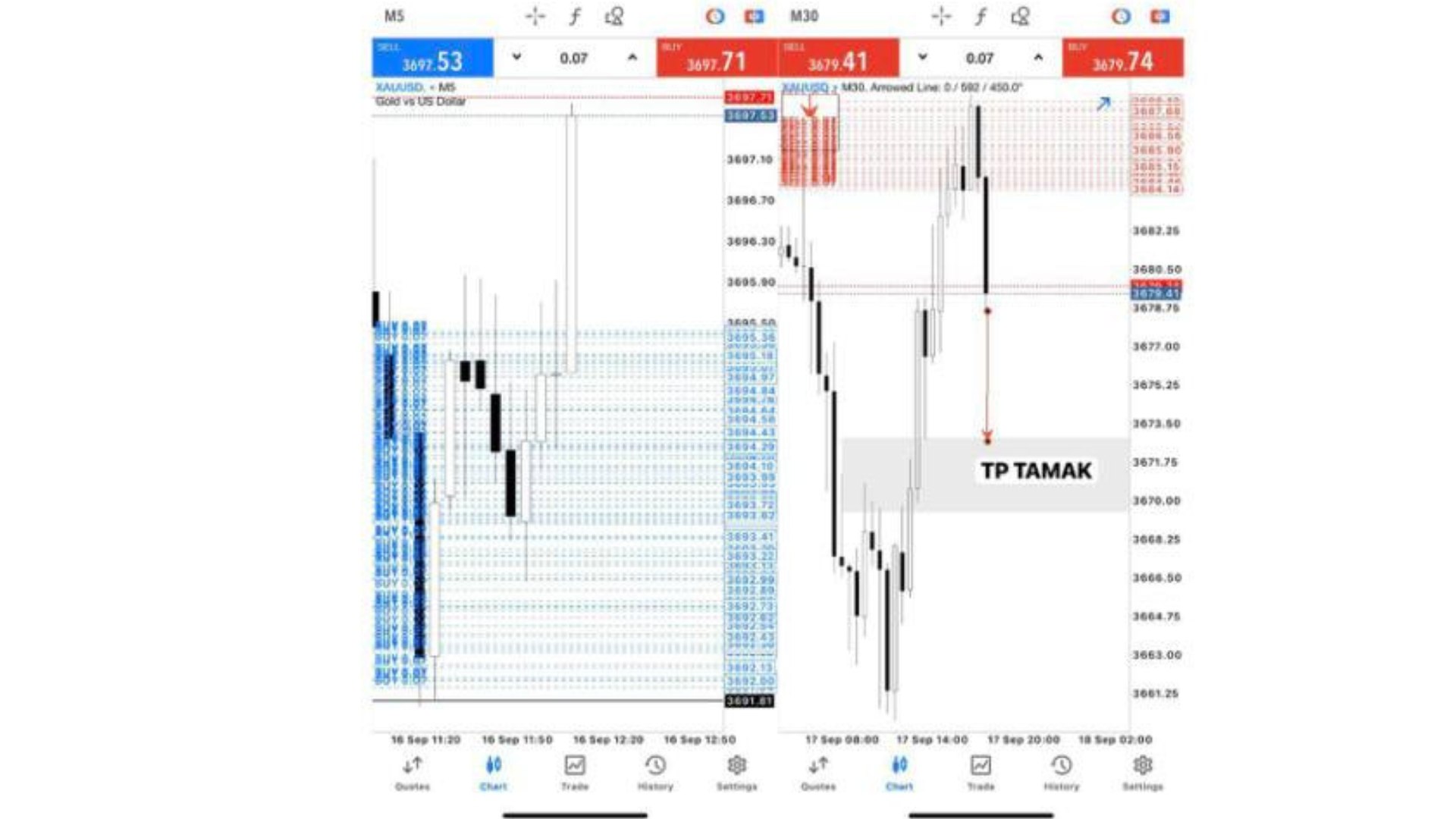 Along Gold Scalper