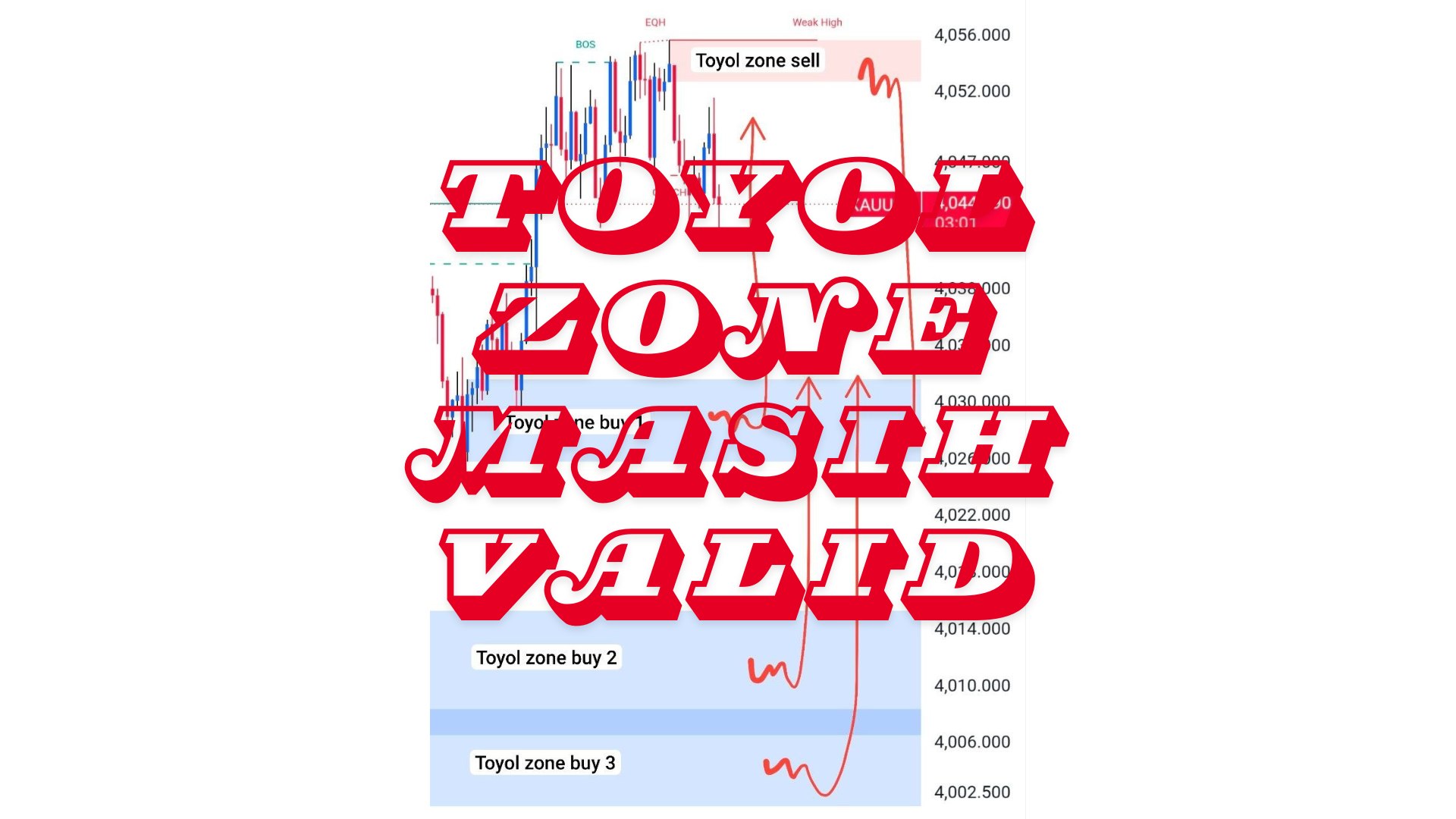 TRADER OTAI