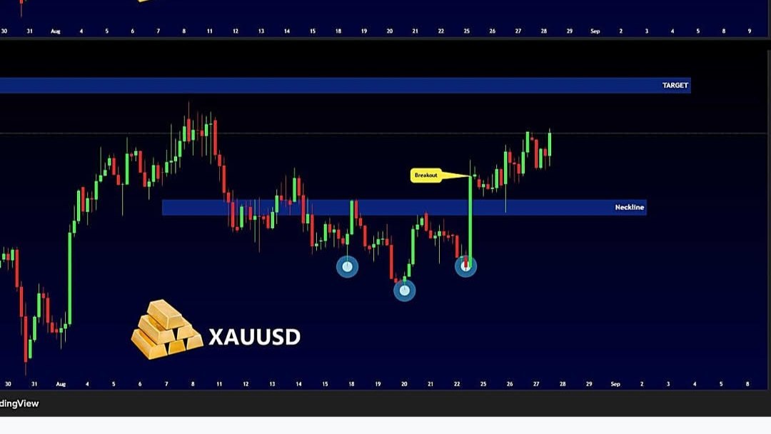 𝘼𝙇𝙄 𝙁𝙓 📊