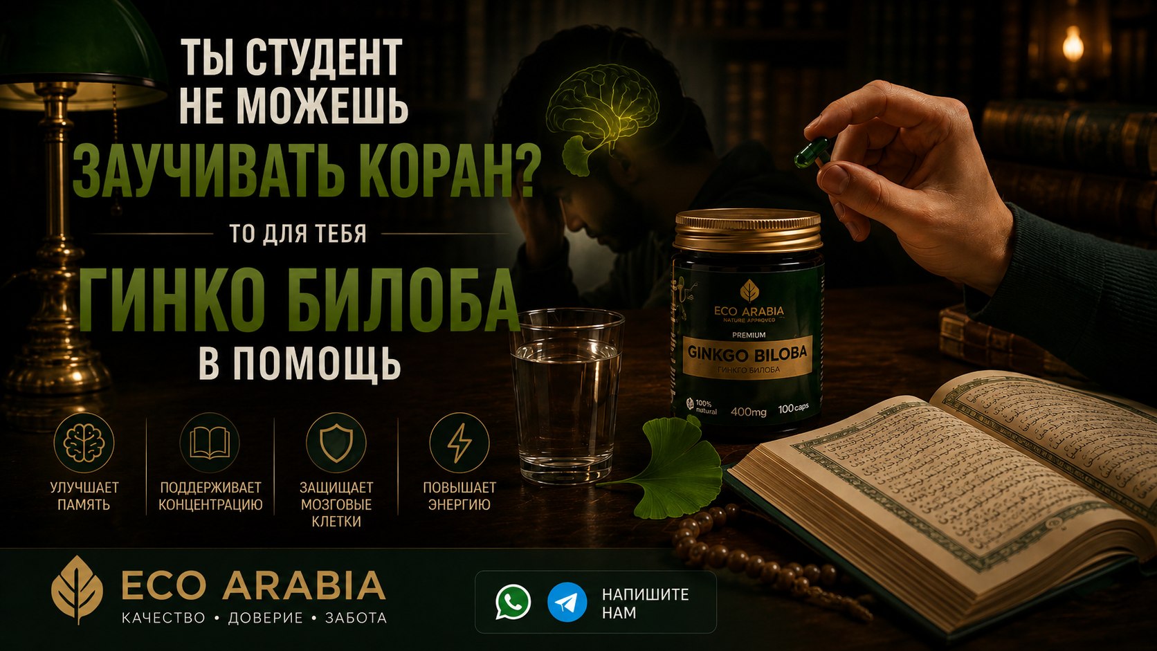 Eco Arabia in Medina