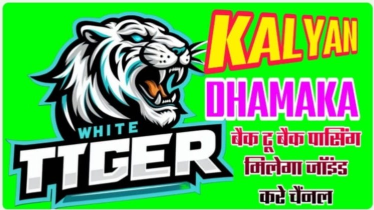 👉TIGER BAAZIGAR KING💯💯👌👌