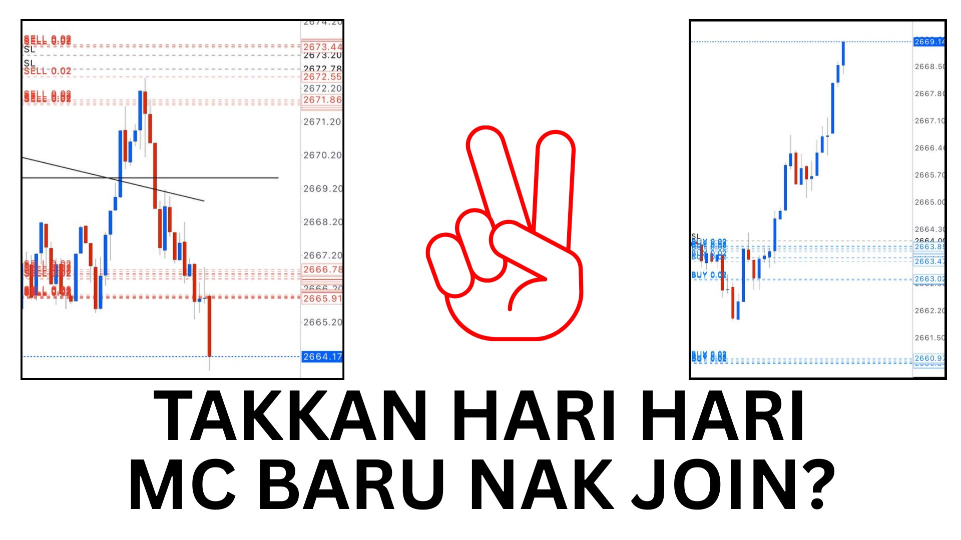 Along Gold Scalper