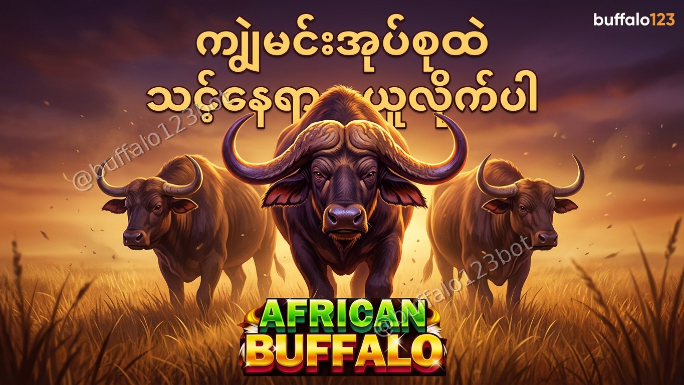 ကျွဲဂိမ်း Buffalo123 Official