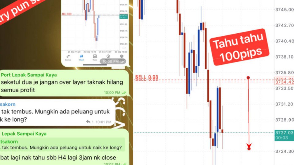 Along Gold Scalper