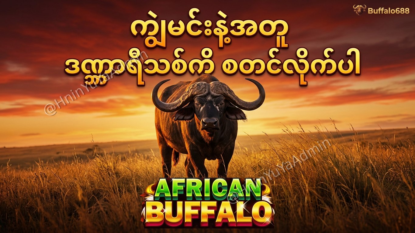 ကျွဲဂိမ်းအစစ် Buffalo688 ၊ကျွဲဘုရင် ၊ရှမ်းကိုးမီး၊ဘူကြီး