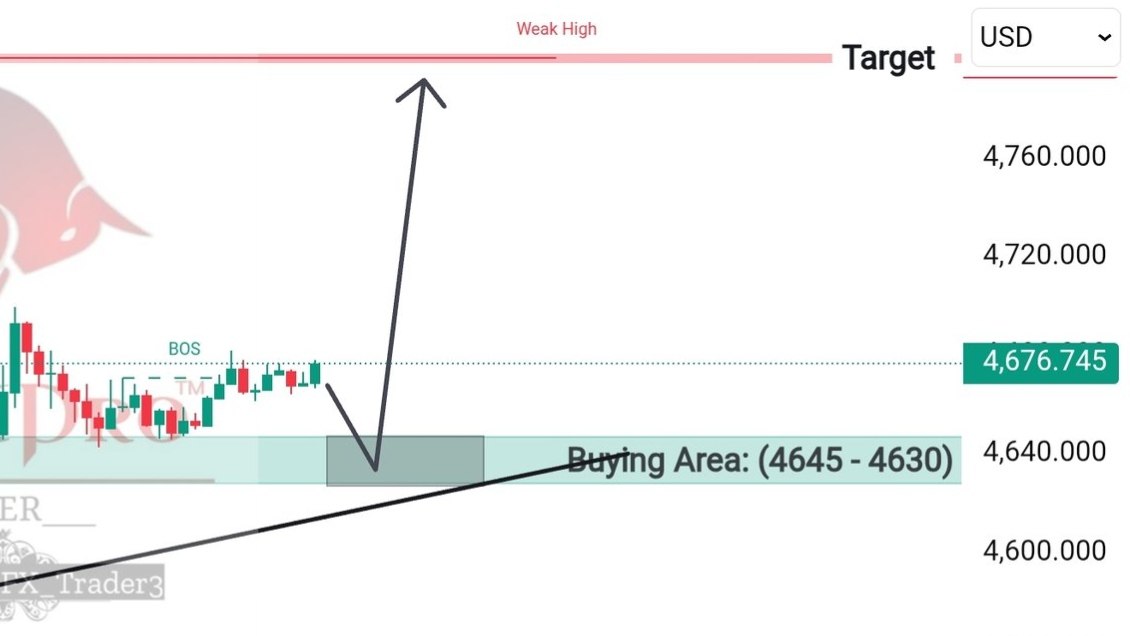 Trend Market