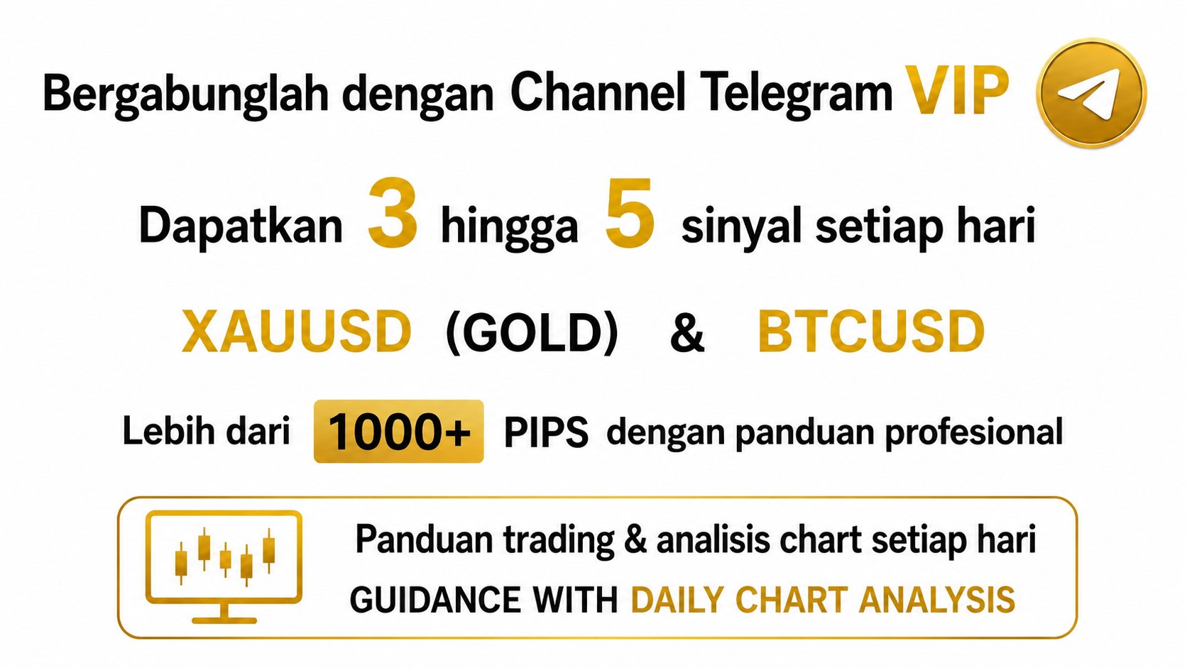 Forex Signal Hub