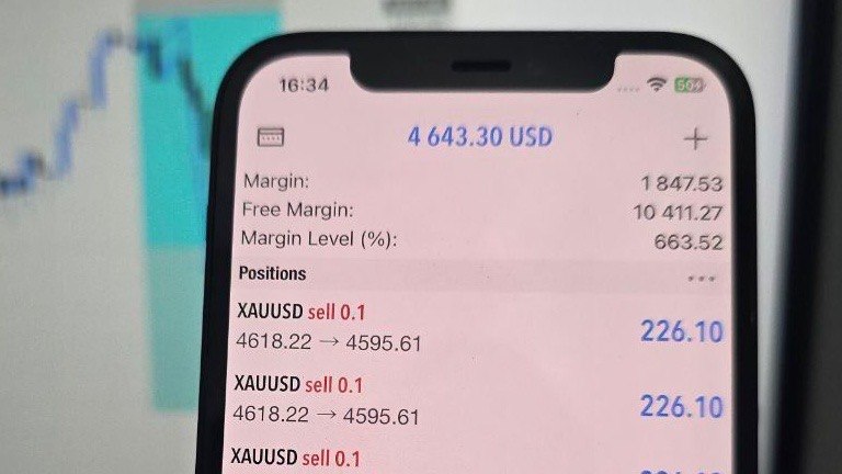 THE_TRADING_ZONE.forex