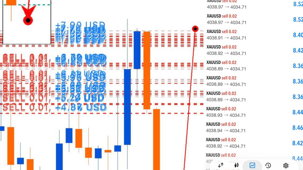 Arep Trader Flip