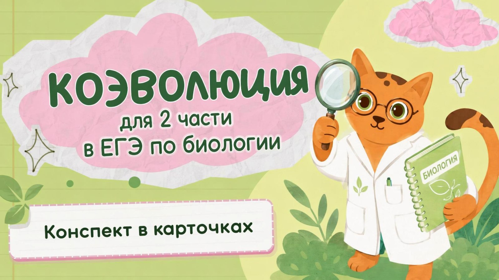 биология и котики / ЕГЭ ОГЭ Стадикэтс
