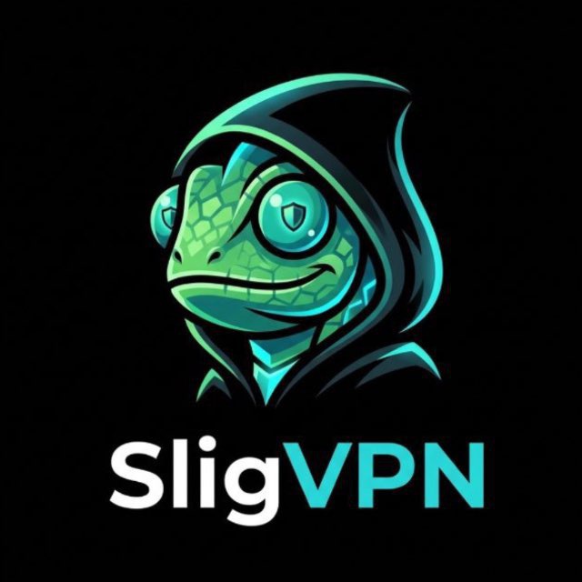 @sligvpn_bot