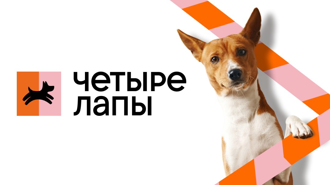 Работа в зоомагазине Четыре лапы 😻
