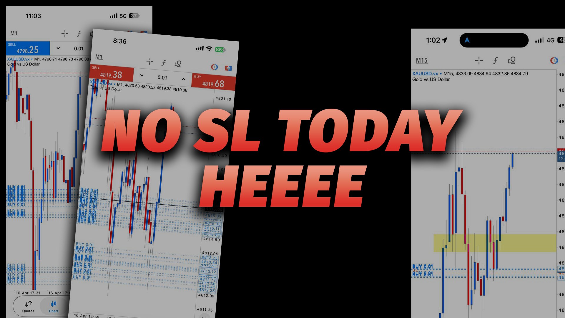 Along Gold Scalper