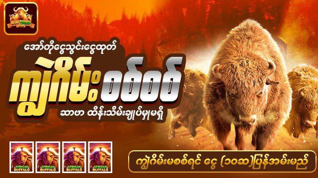 Shwe666 Official