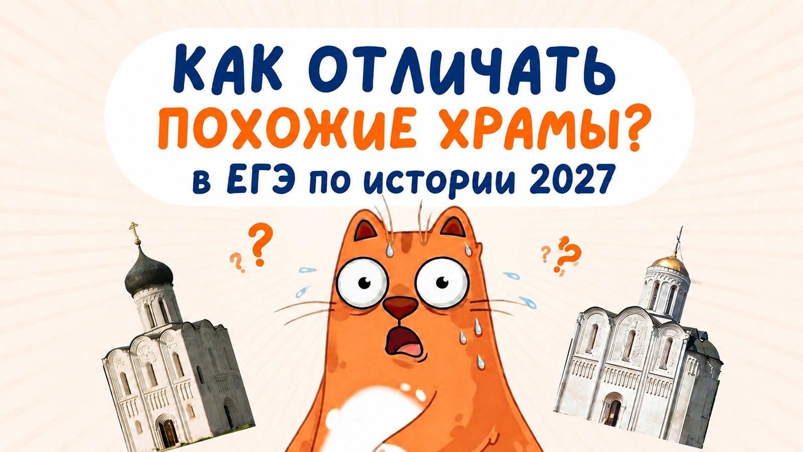 история и котики / ЕГЭ ОГЭ 2027 стадикэтс иик