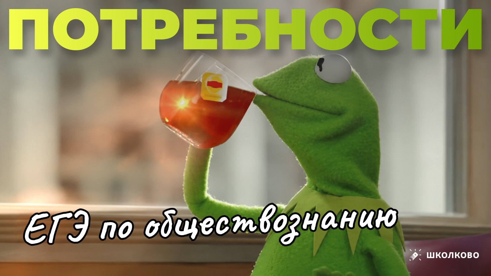 Егор Кант ЕГЭ обществознание