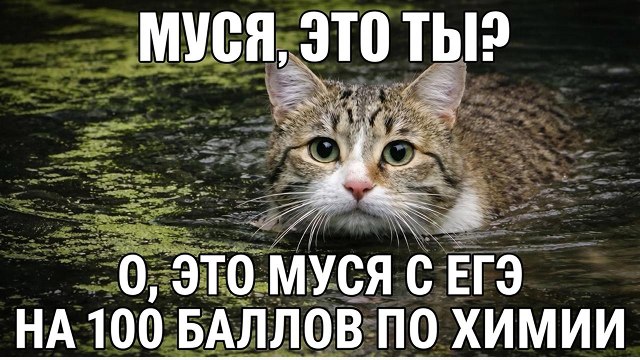 ноо — химия егэ
