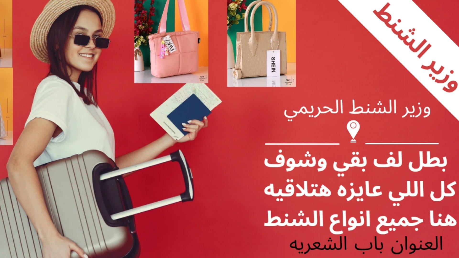 وزير الشنطة الحريمى