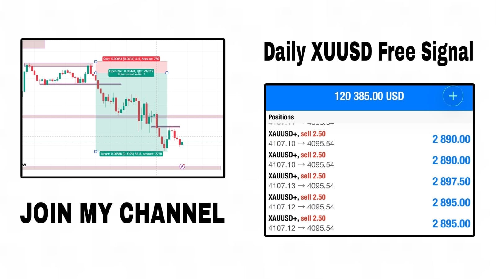 @goldprotrader01kl