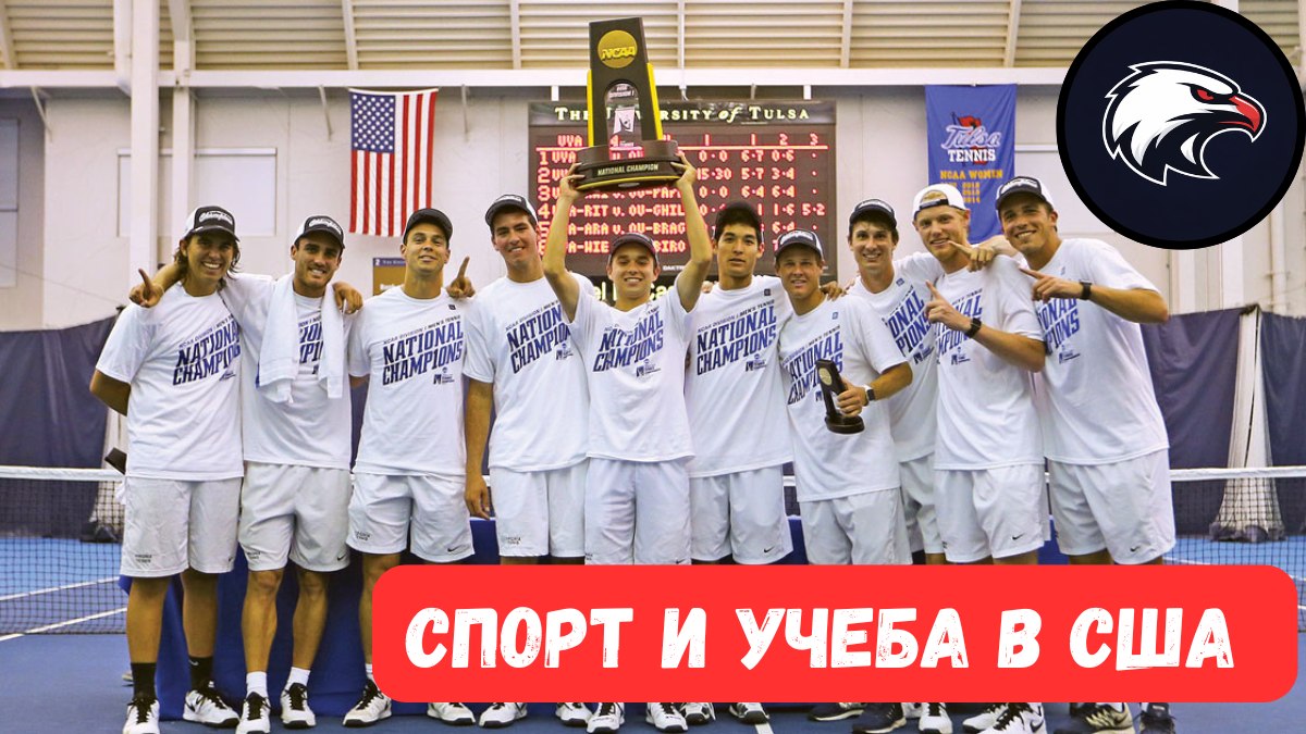 Спортивные стипендии в США | CollegeSportUSA