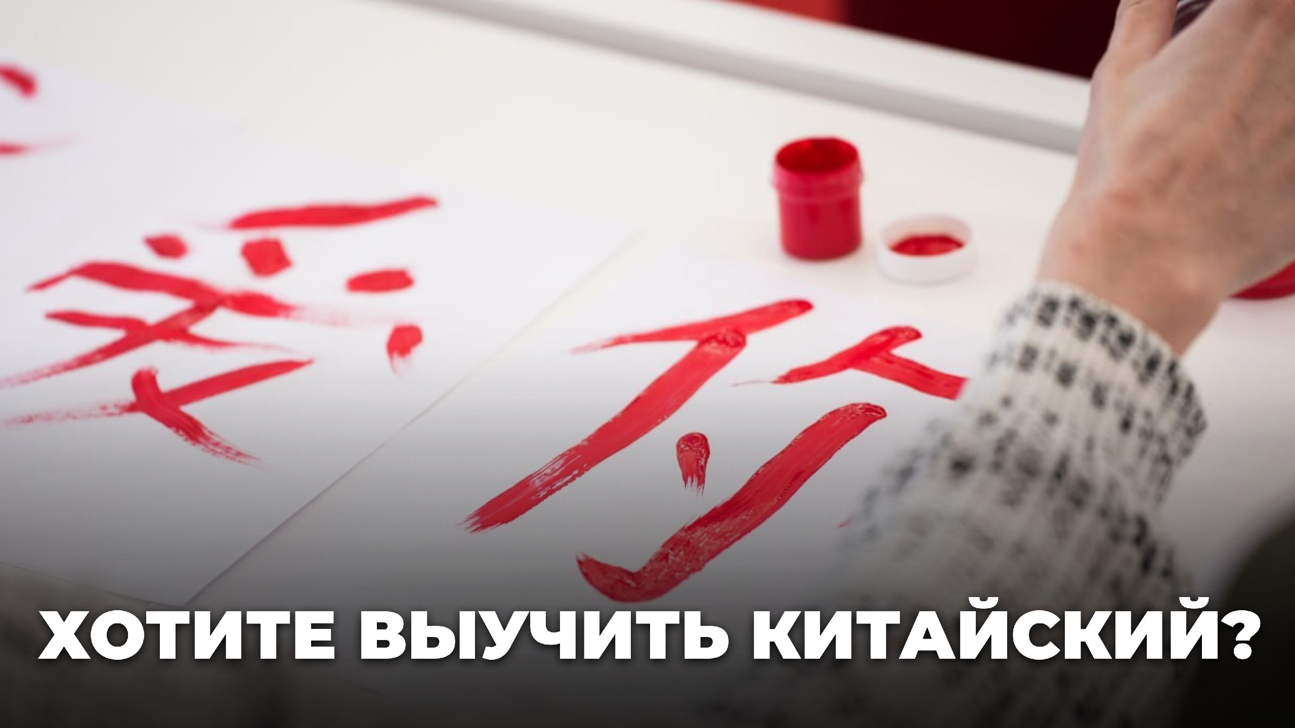 Университет «Синергия»