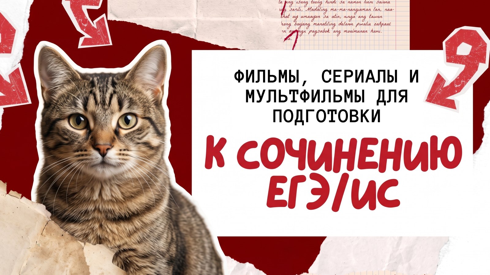 русский и котики / егэ 2026 / стадикэтс