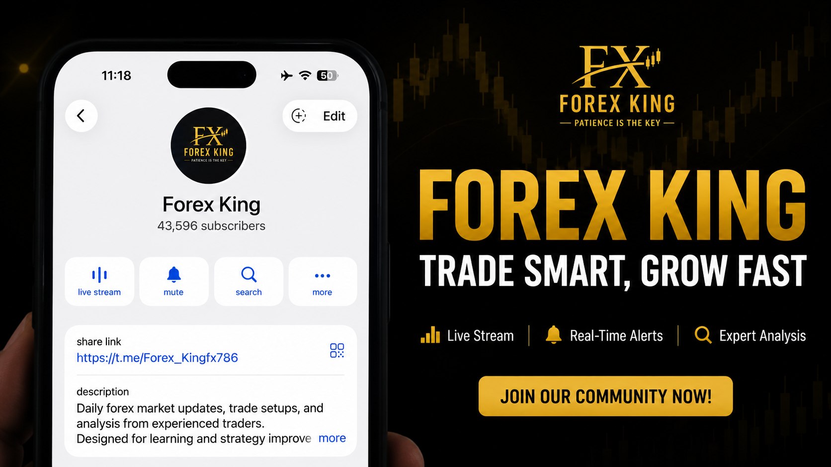 Forex King