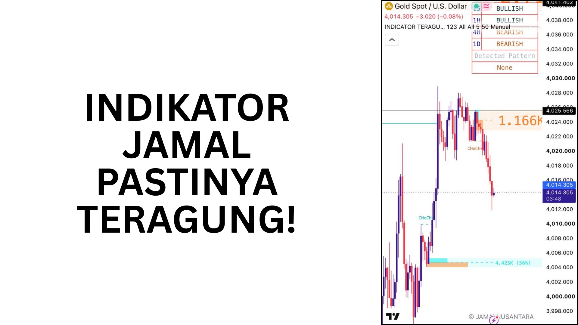 JAMAL NUSANTARA