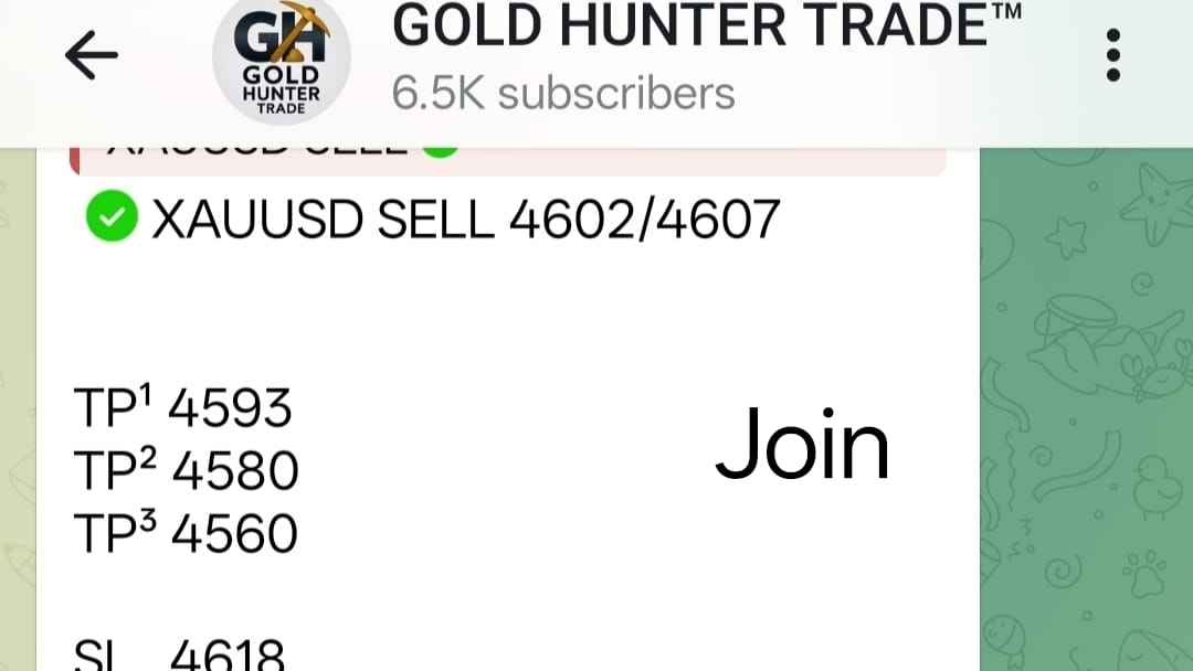 GOLD HUNTER TRADE™