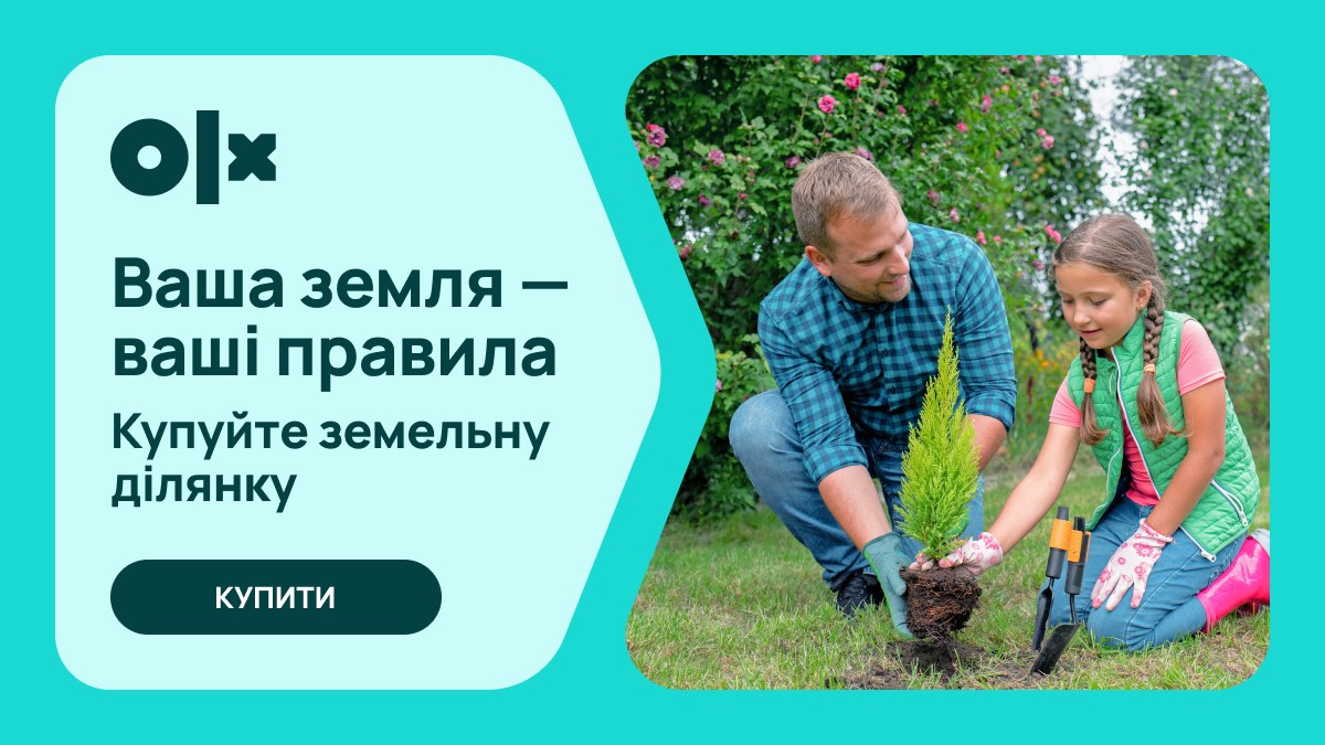 OLX Нерухомість