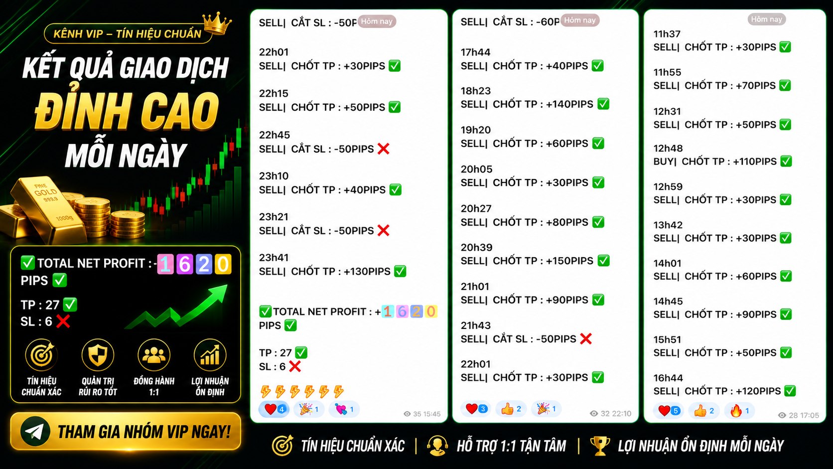 DaiLy | Gold Master VN