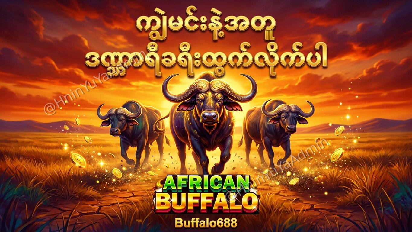 ကျွဲဂိမ်းအစစ် Buffalo688 ၊ကျွဲဘုရင် ၊ရှမ်းကိုးမီး၊ဘူကြီး
