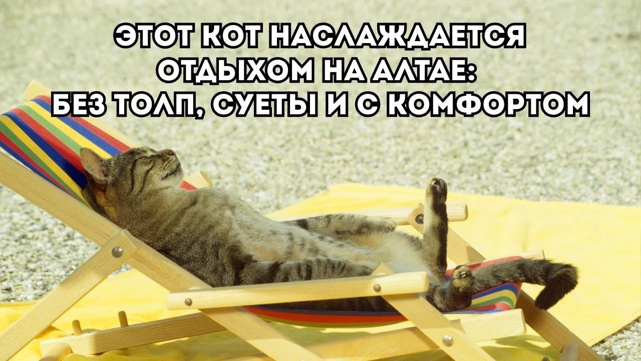 АЛТАЙ | ТУРЫ НА АЛТАЙ | ПУТЕШЕСТВИЯ