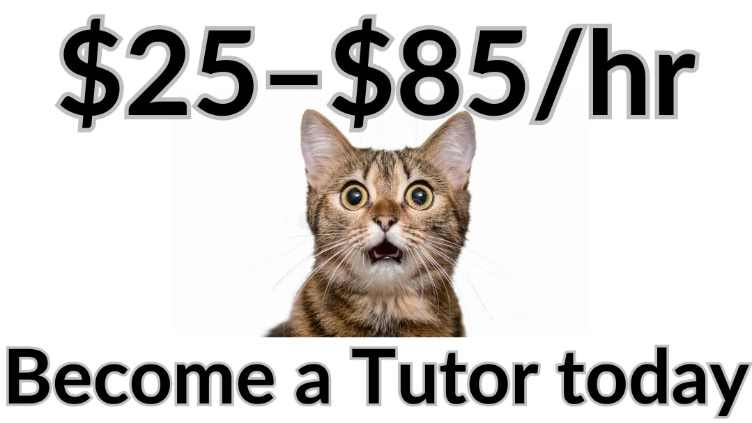 Tuition Job (LittleWiser)