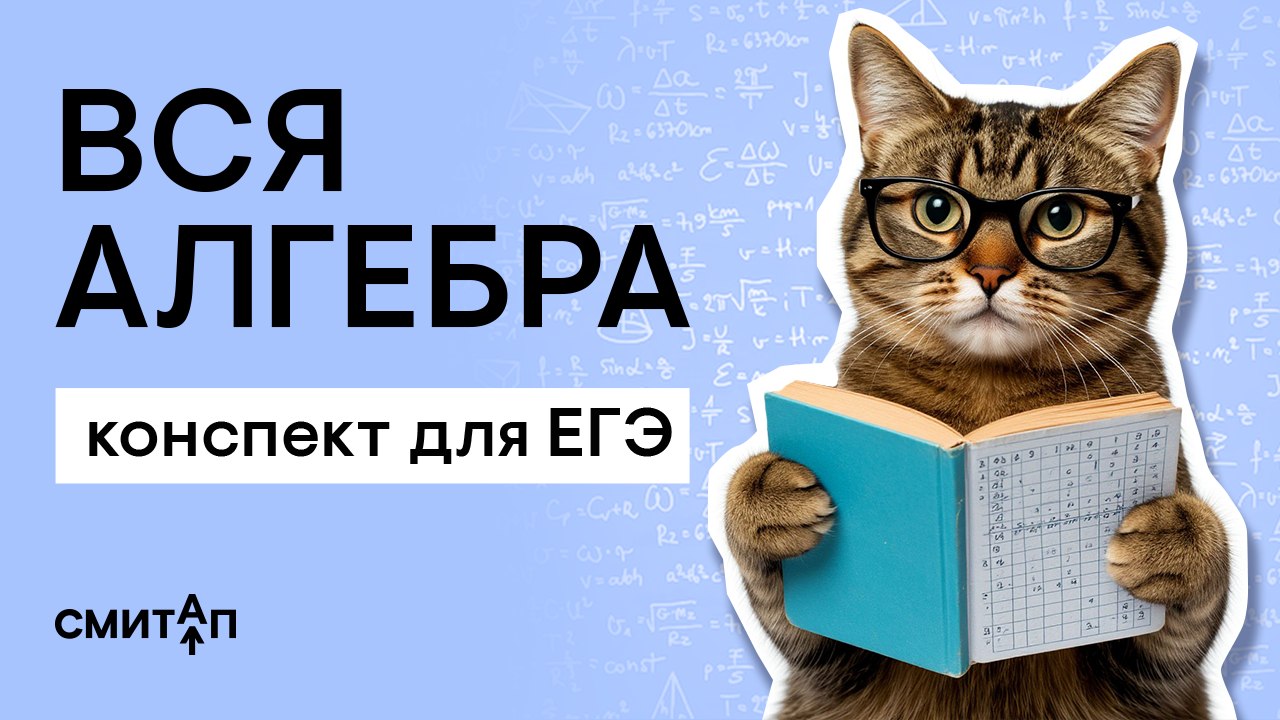 Делю на ноль | Кирилл Нэш | Математика ЕГЭ СМИТАП