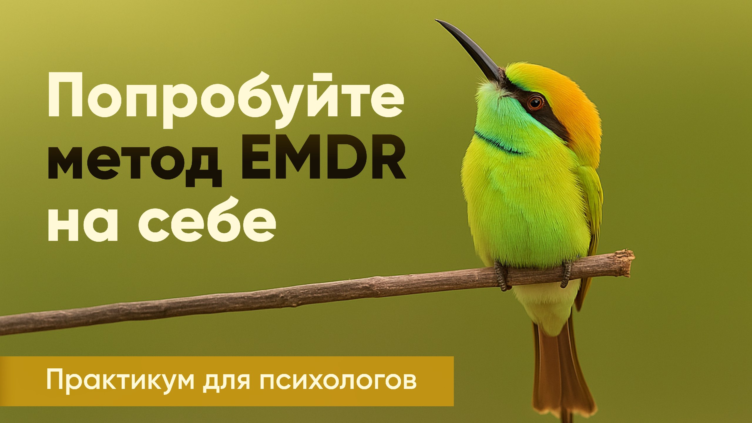 Практикум для психологов