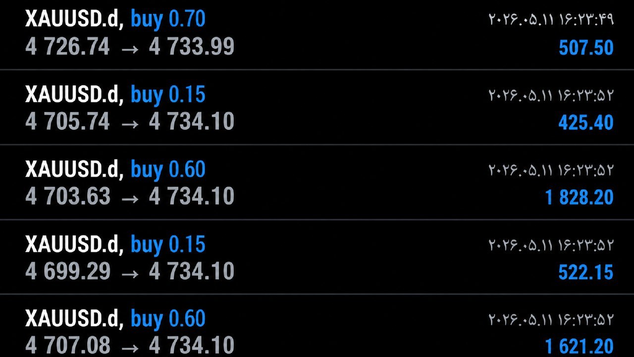 FX Flip Zone