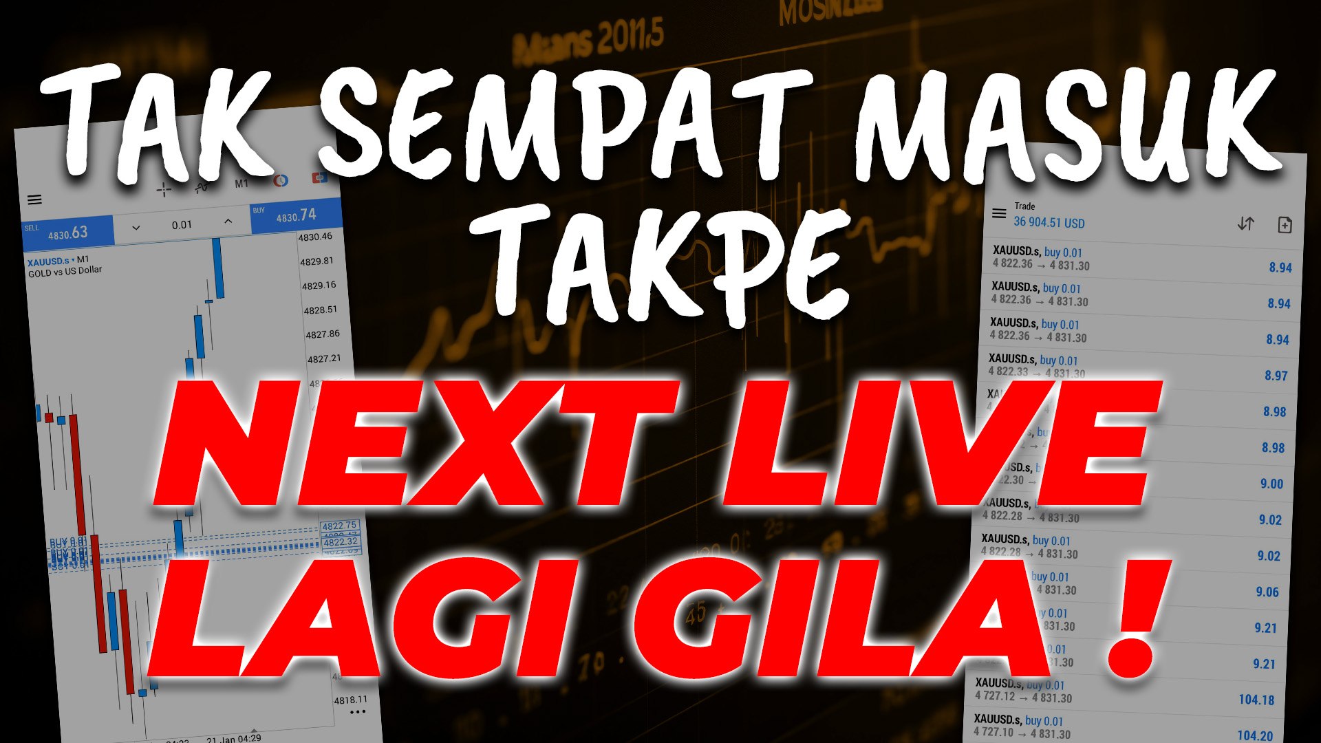 SIGNAL LAYER GILA!!!!