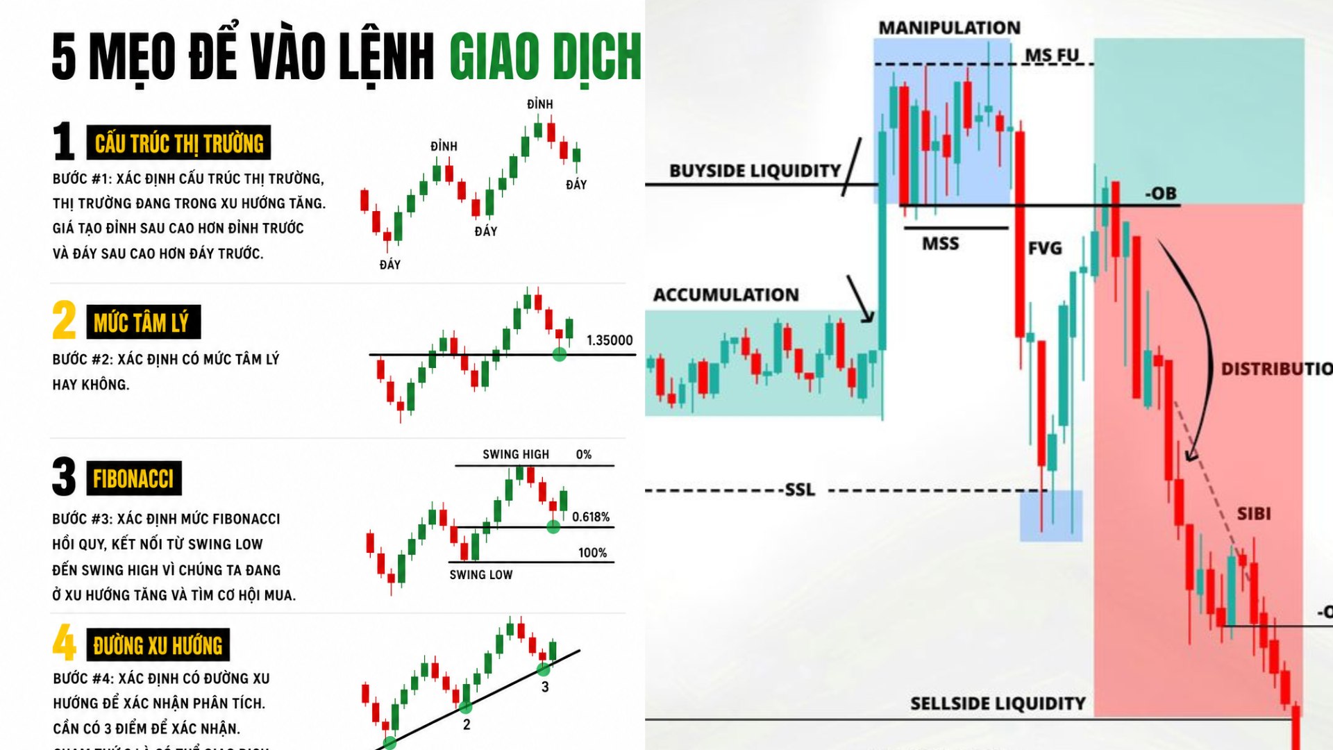 Liquidity Intelligence